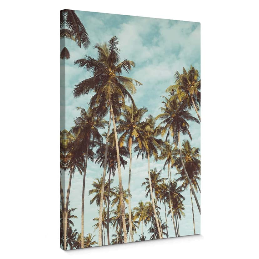Canvastavla Palms 08