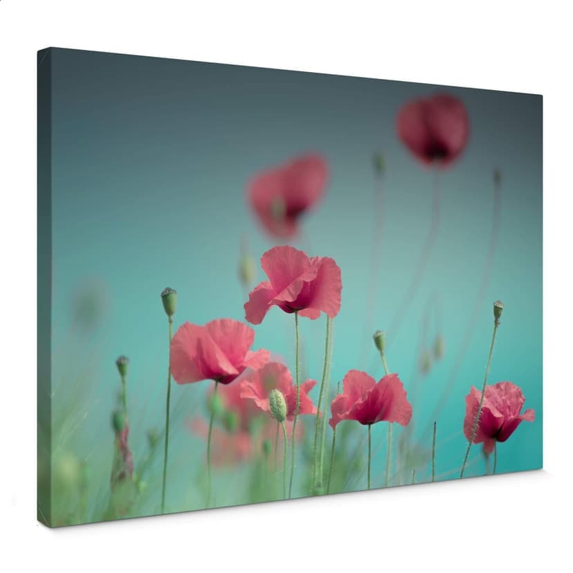 Leinwandbild Delgado – Mohnblumen Pastell