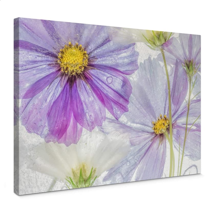 Canvastavla Disher - Frusna blommor