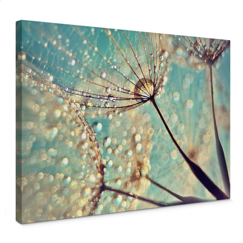 Leinwandbild Delgado – Magische Pusteblume