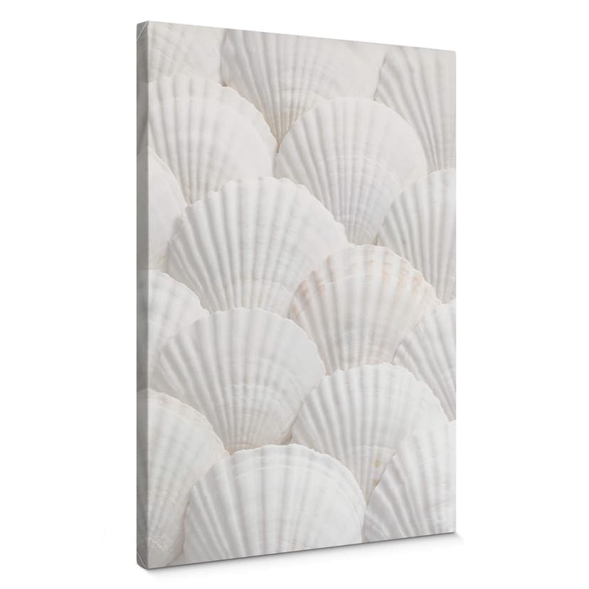 Canvastavla 1X Studio - Shell Ensemble