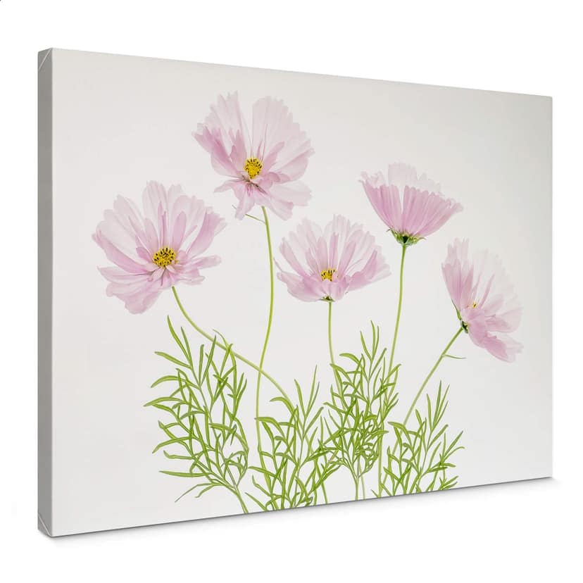Canvastavla Disher - Sommarblomma