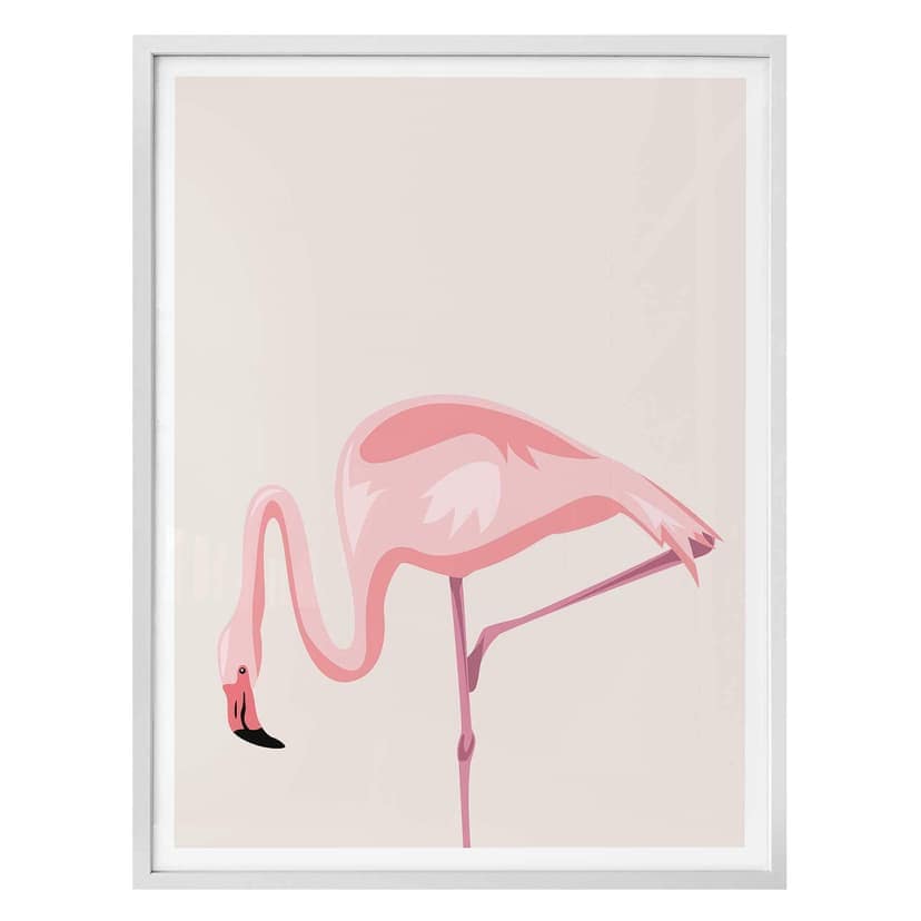Poster Flamingo 02