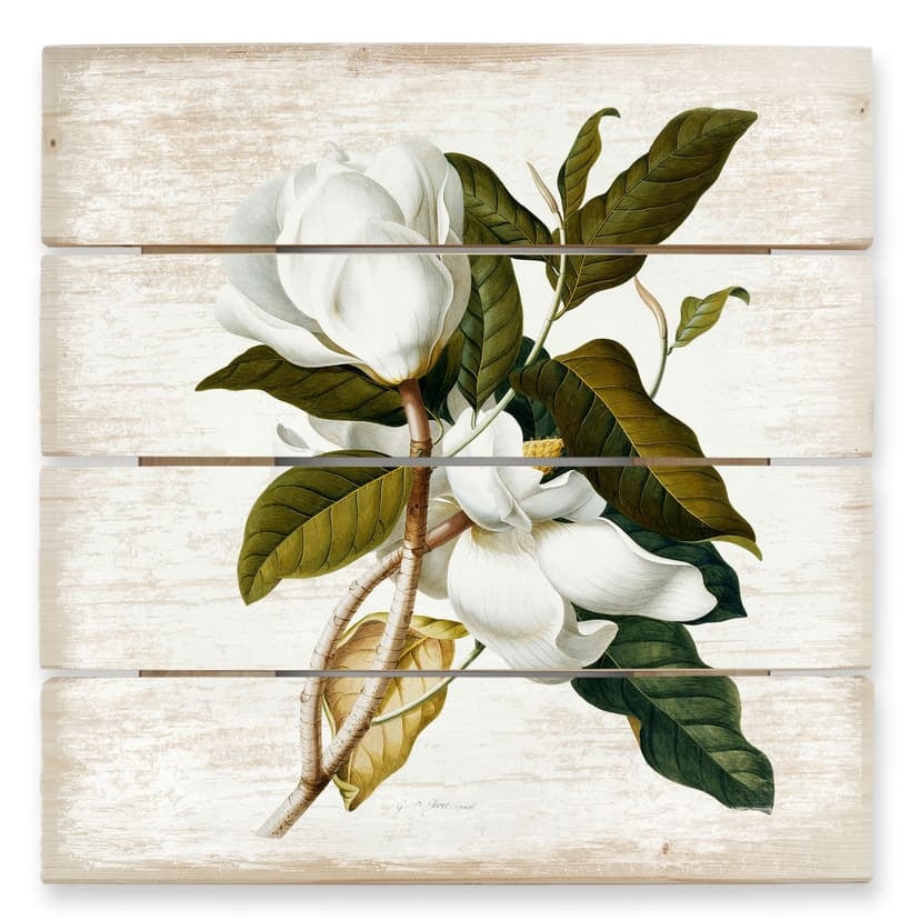 Ehret Trätavla - Magnolia - 40x41,5 cm