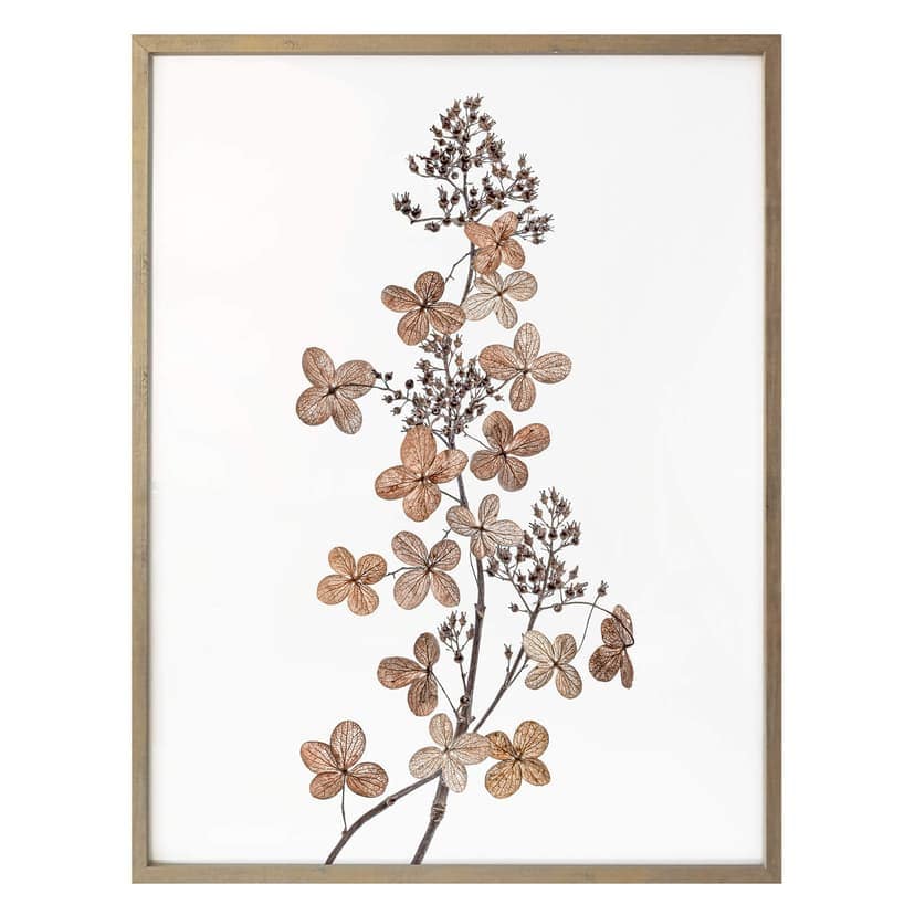 Poster Disher - Hortensia