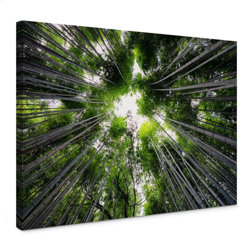 Canvastavla Hugonnard - Skog i Japan