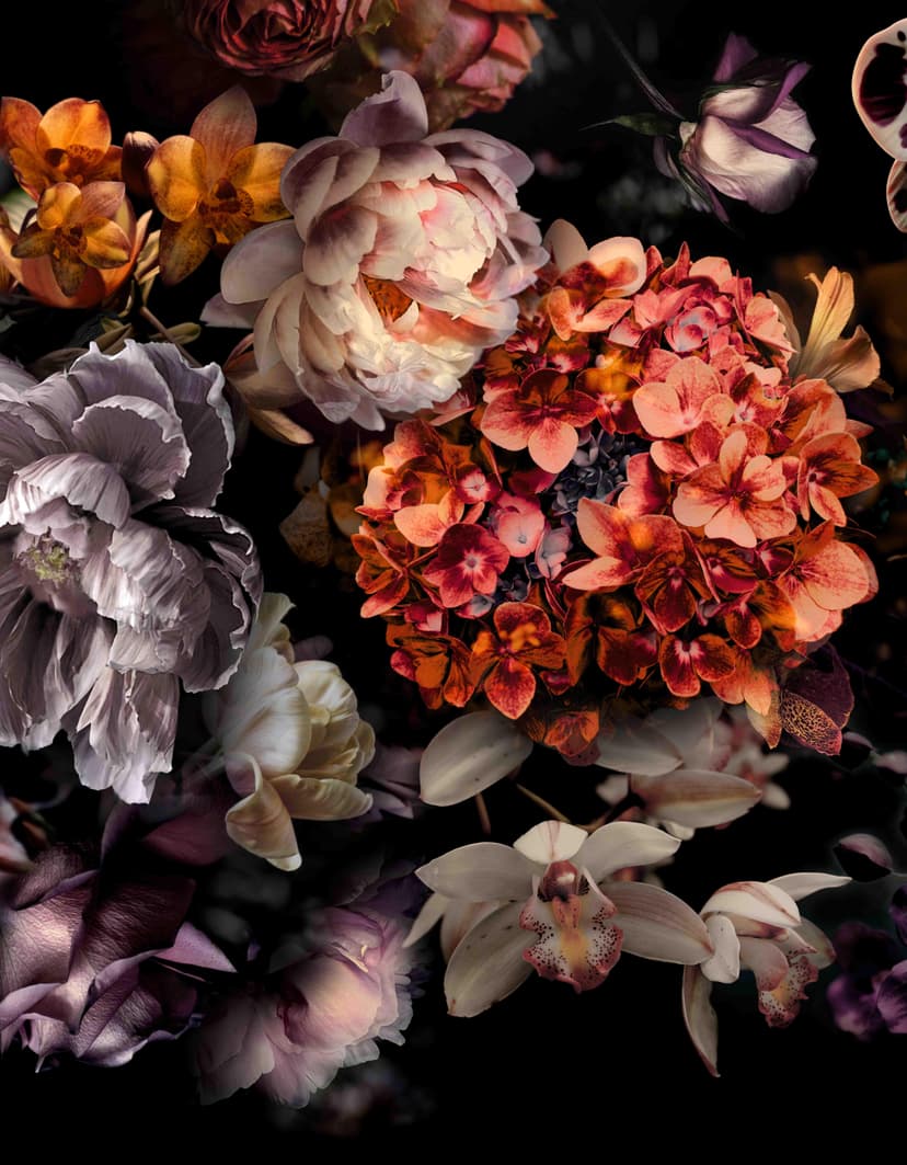 Fototapet med motiv Dark Floral med orkidéer, hortensior 3,4 x 2,65 m