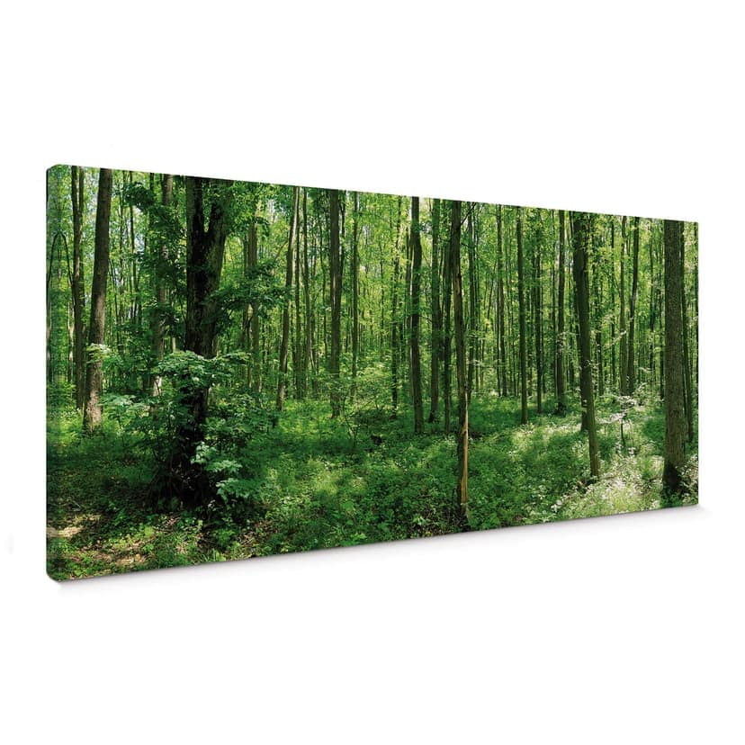 Canvastavla skog panorama 01
