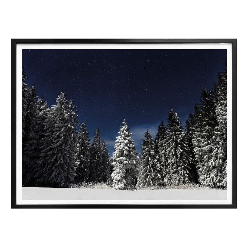 Poster - Vinterskog