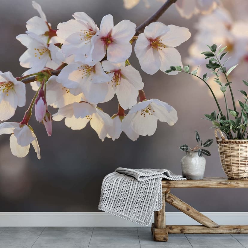 Fototapet med grenar av körsbärsblommor