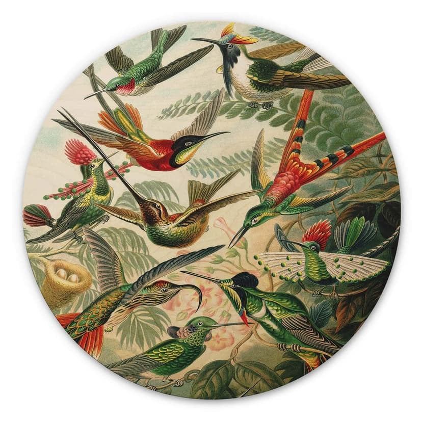 Trätavla Haeckel - Kolibrier - Rund