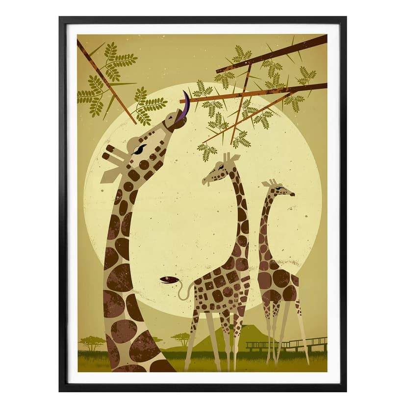 Poster Brun - Giraffer