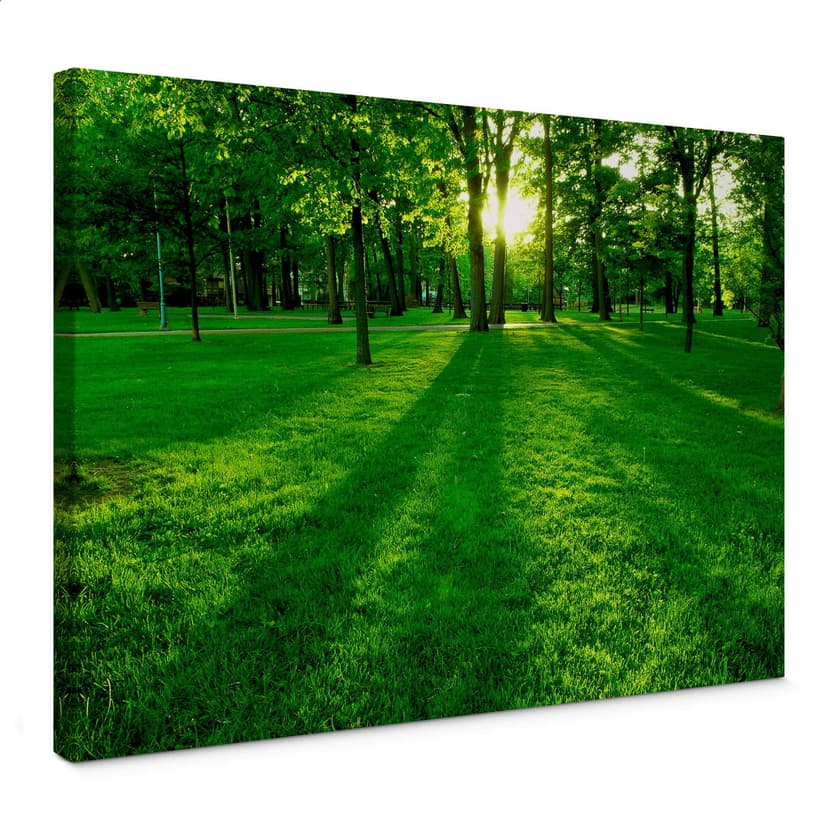Canvastavla park på landsbygden