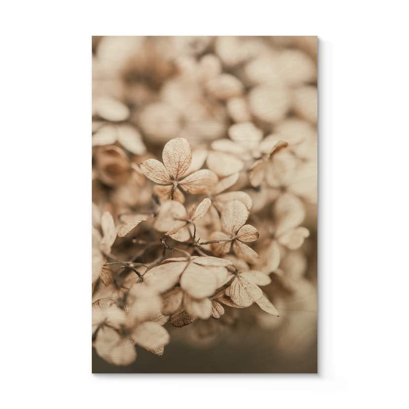 Annie Träposter - blommor i sammet