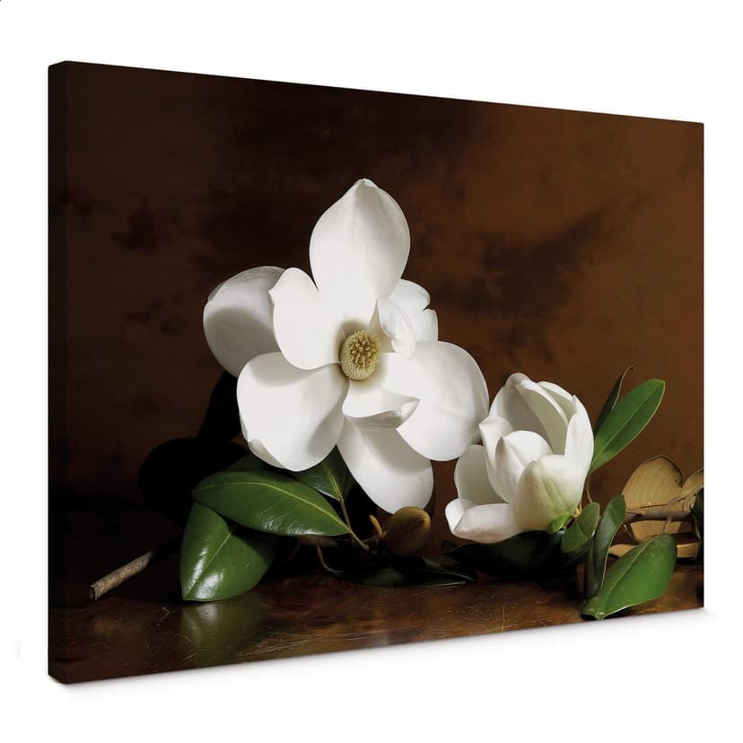 Canvastavla magnoliagren med blad