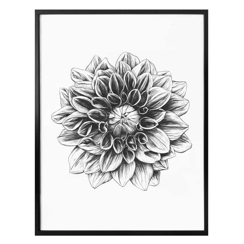 Poster Kools - Dahlia