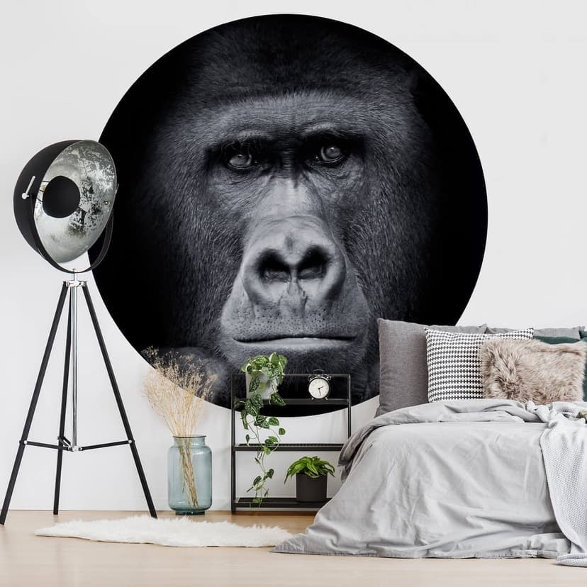 Fototapet Gorilla - Rund - non-woven tapet/självhäftande non-woven tapet