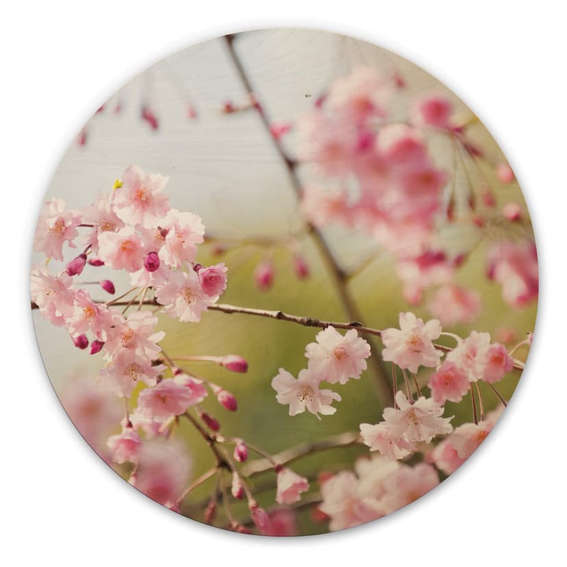 Trätavla Körsbärsblommor - Rund