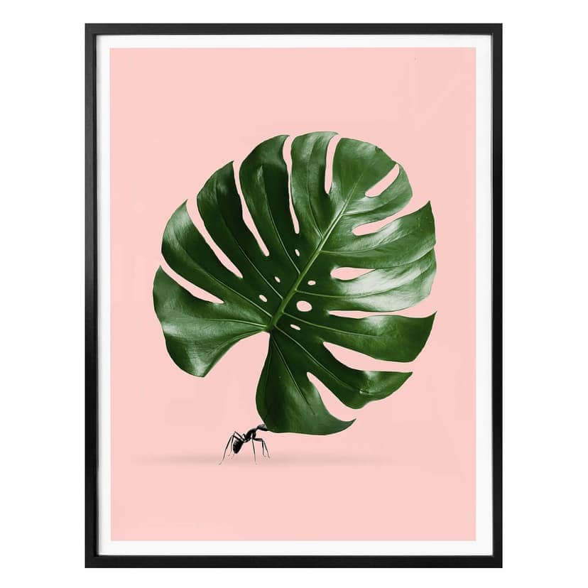 Poster lös - Monstera Ant