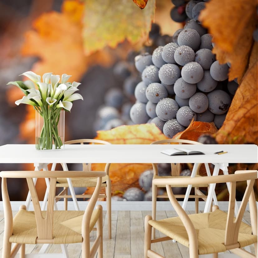 Fototapet Vin på hösten - 336x260 cm