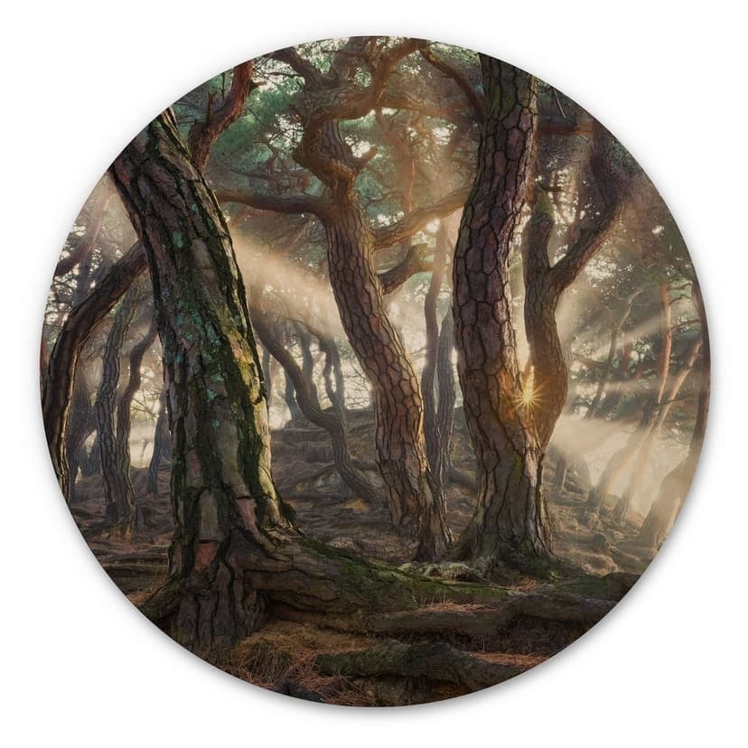 Trätavla Helig tallskog - Ryu - Rund