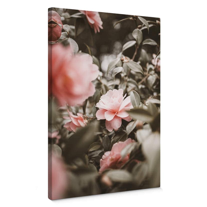 Canvastavla Annie - Rosenblomma