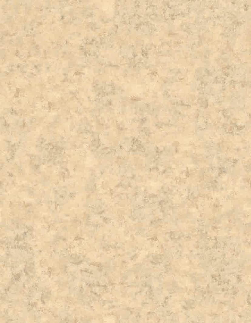 Fototapet Boho bananblad i naturliga toner på en sandig vintagetextur 3,4 x 2,65 m