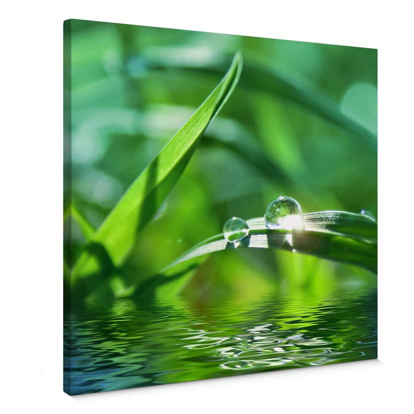 Canvastavla natur 6
