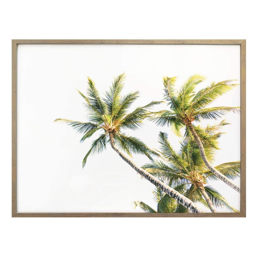 Poster - Palms 05