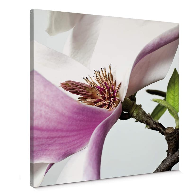 Magnolia Canvastavla