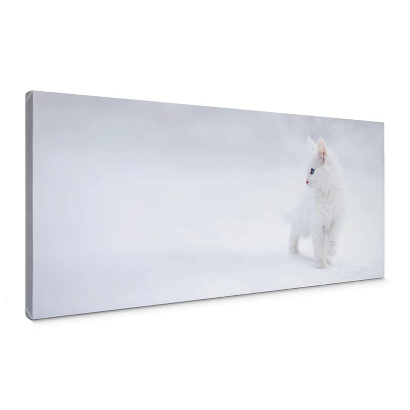 Canvastavla Prexus - Vitare än snö