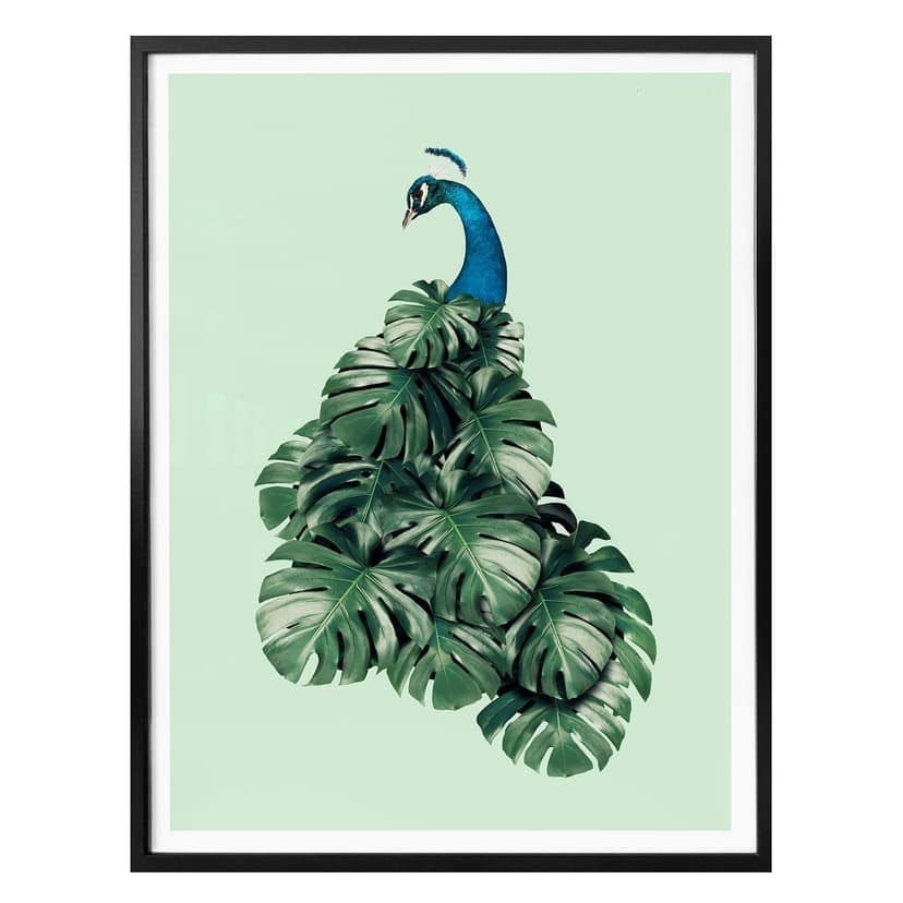Poster Loose - Monstera Fågel