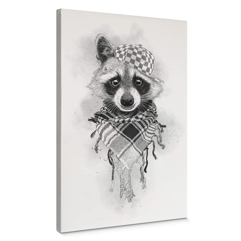 Canvastavla Kools - Rocco Raccoon