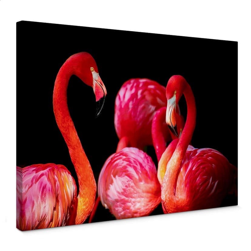 Rosa flamingo Canvastavla