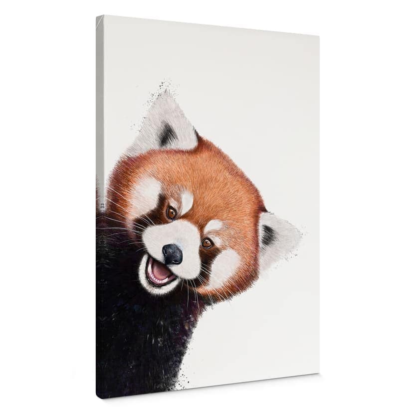 Canvastavla Röd Panda - Korenkova