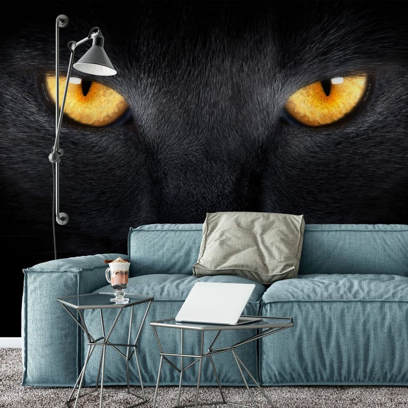 Fototapet med kattögon - 432x260 cm