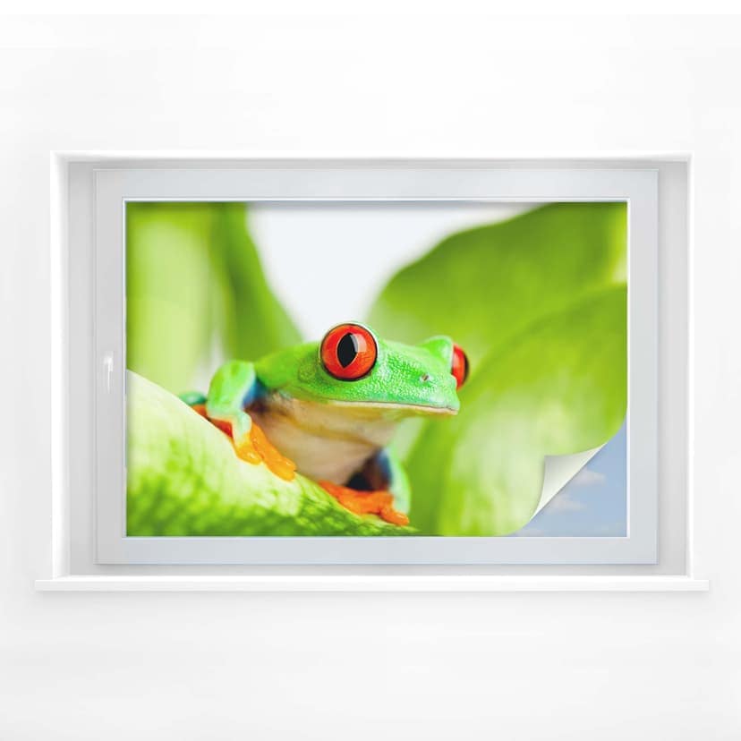 Sekretessfilm popping frog