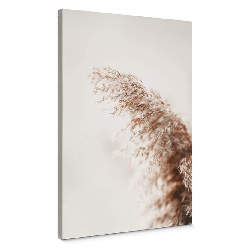 Pampas gräs canvas bild