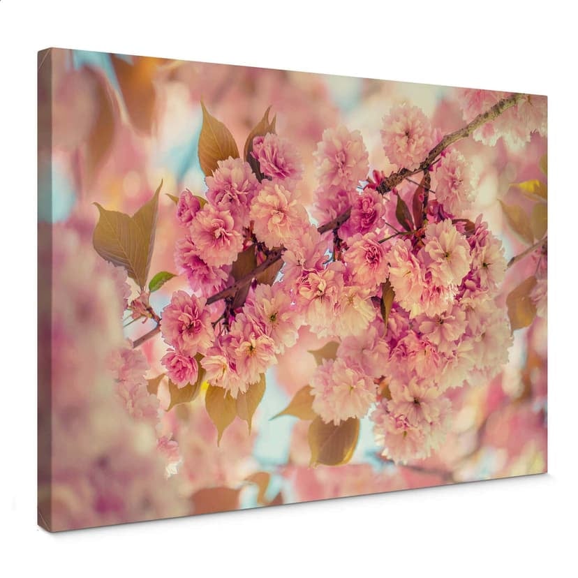 Leinwandbild Delgado - Kirschblüten
