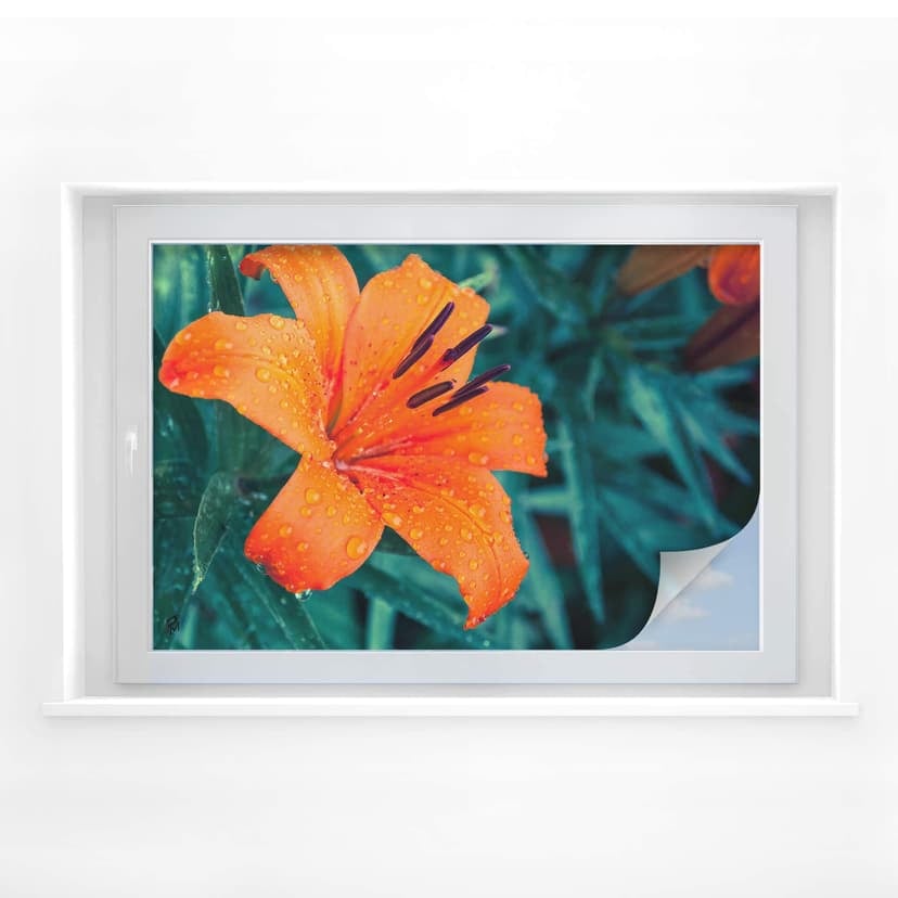 Tropical Lily sekretessfilm