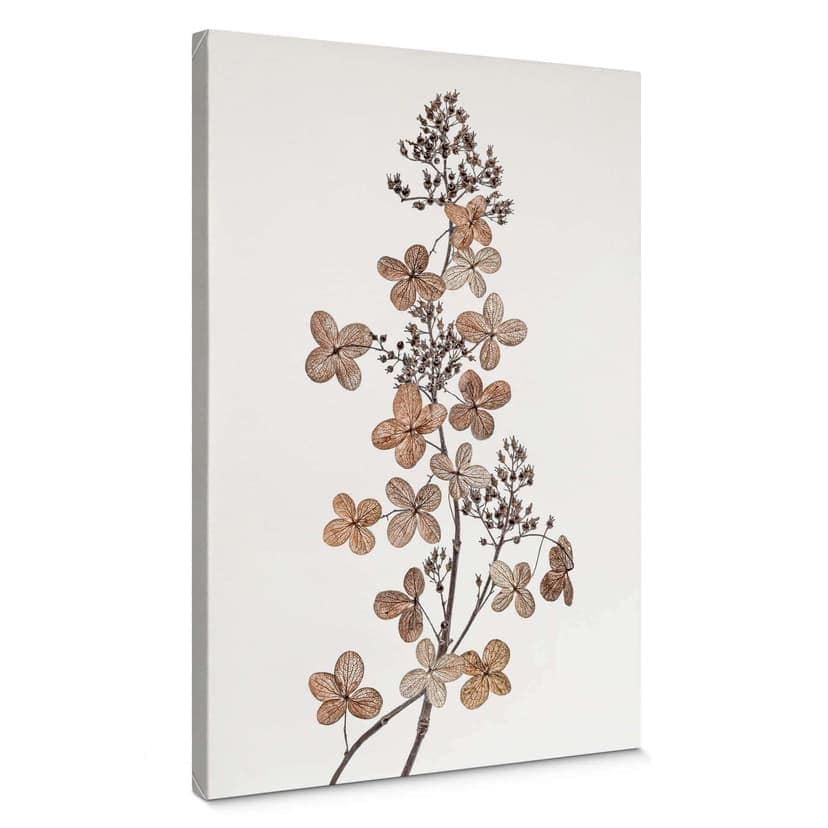 Canvastavla Disher - Hortensia