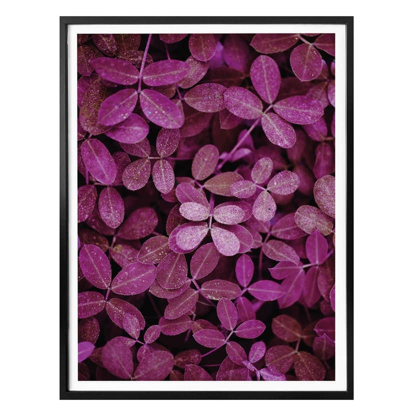 Poster Pink Leaves