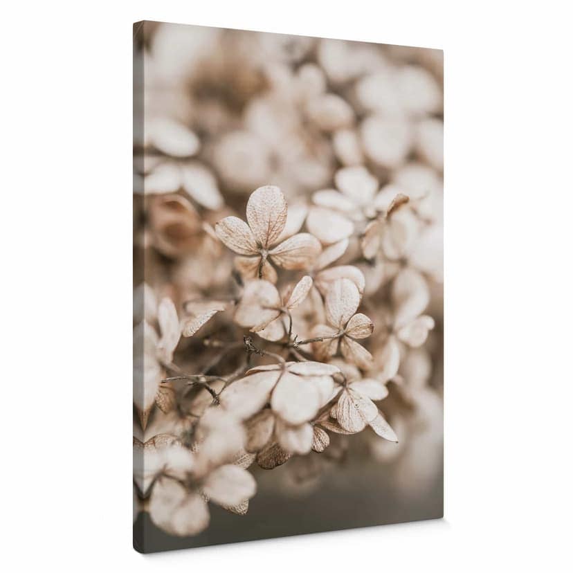 Canvastavla Annie - Sammet blommor