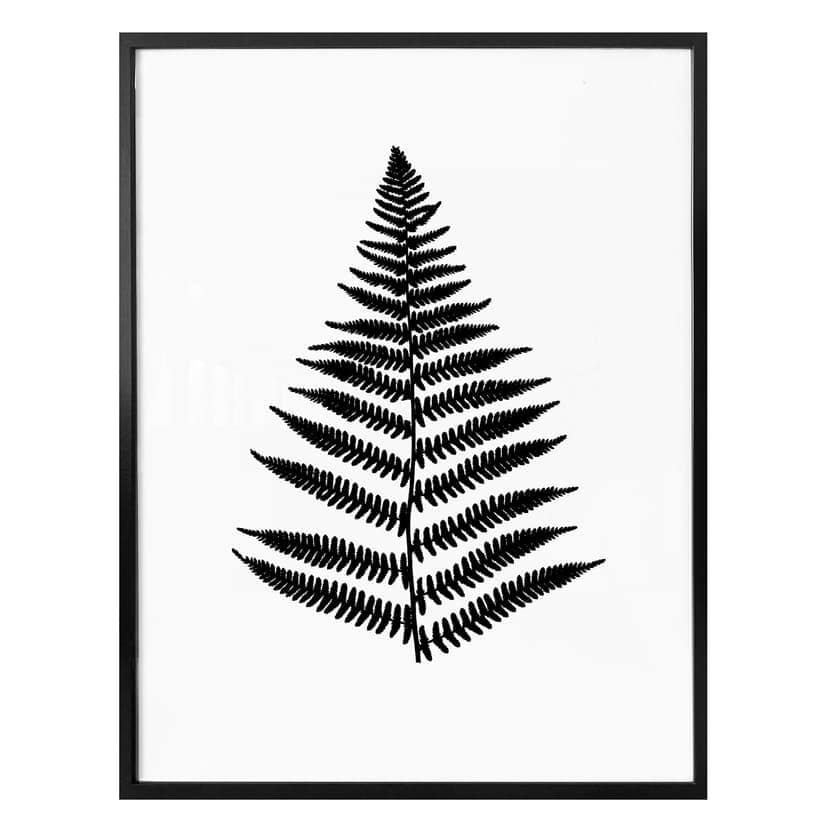 Poster ormbunke
