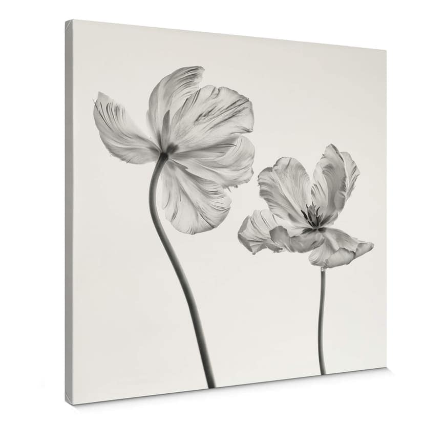 Canvastavla Grønkjær - Tulpanblomma
