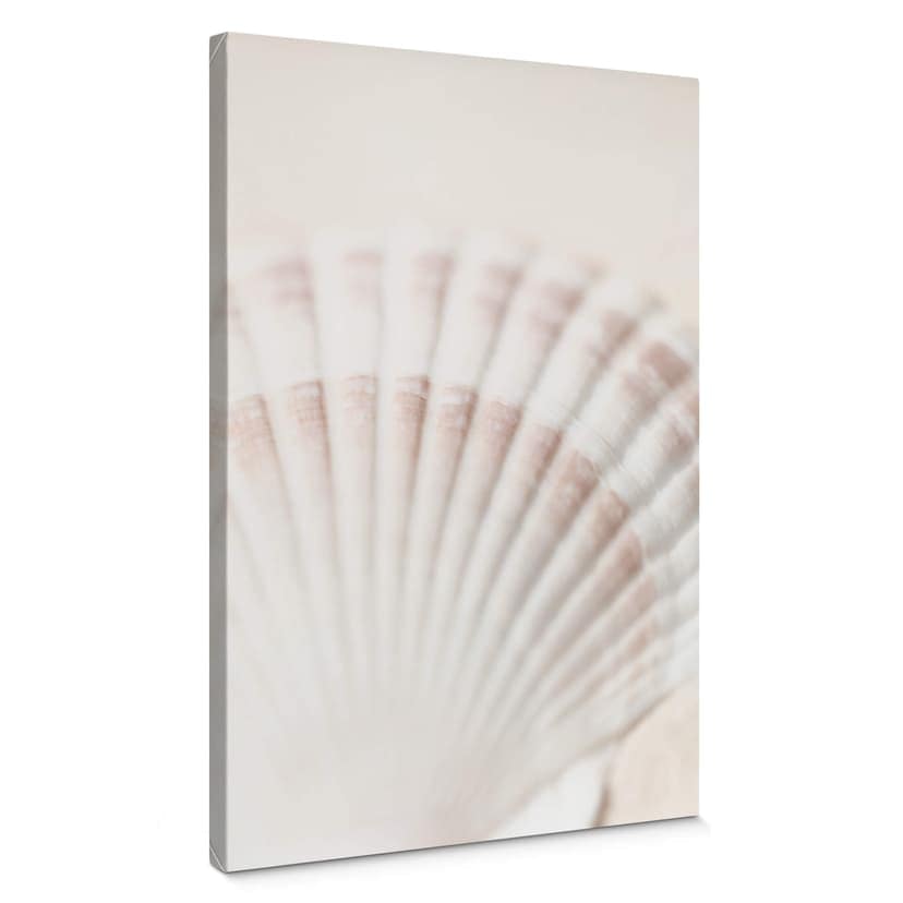 Canvastavla 1X Studio - Scallop