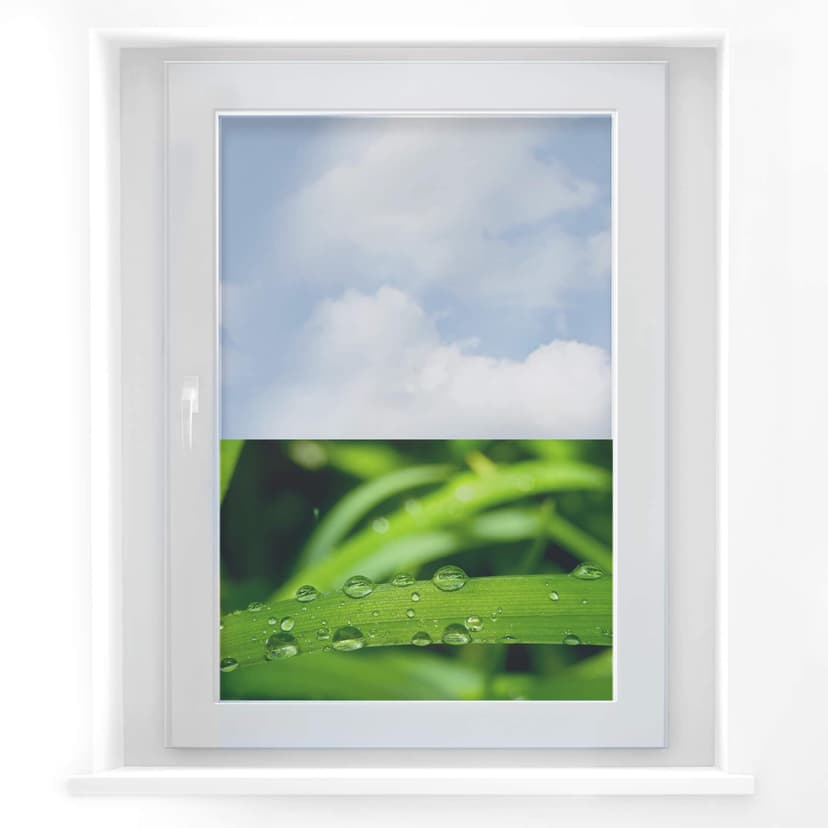 Fönsterbild natur 5