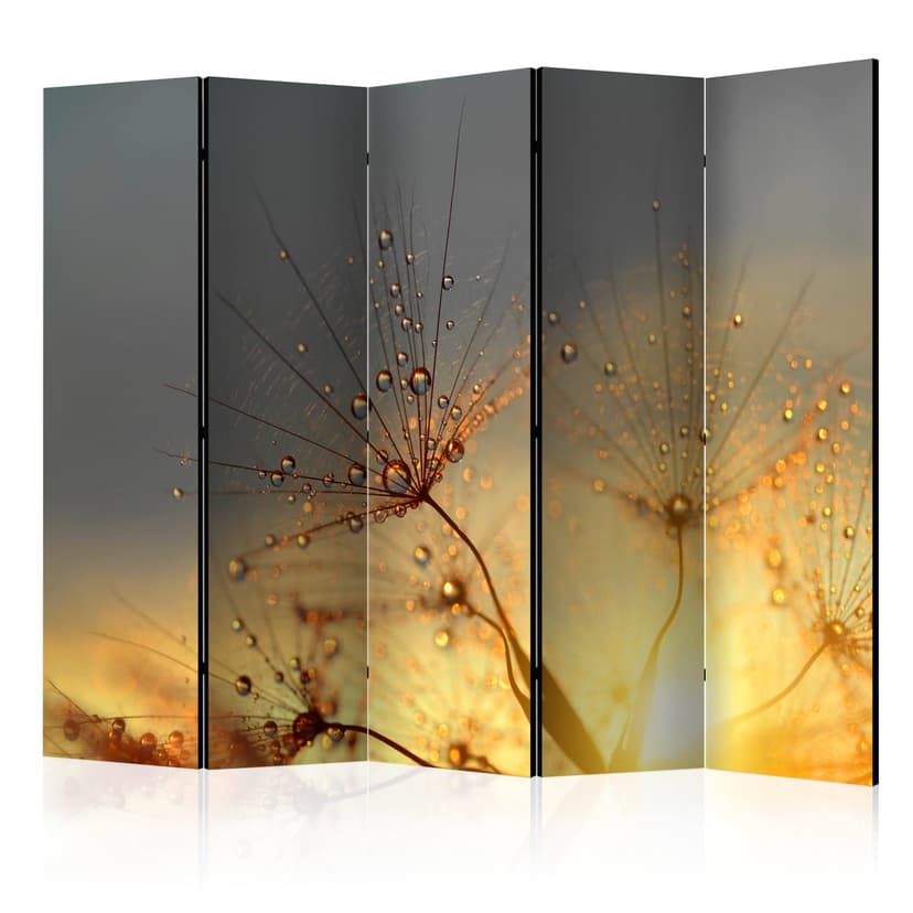 Paravent Raumteiler -  Sommer Sonnenwende , 5-teilig - 225x172 cm