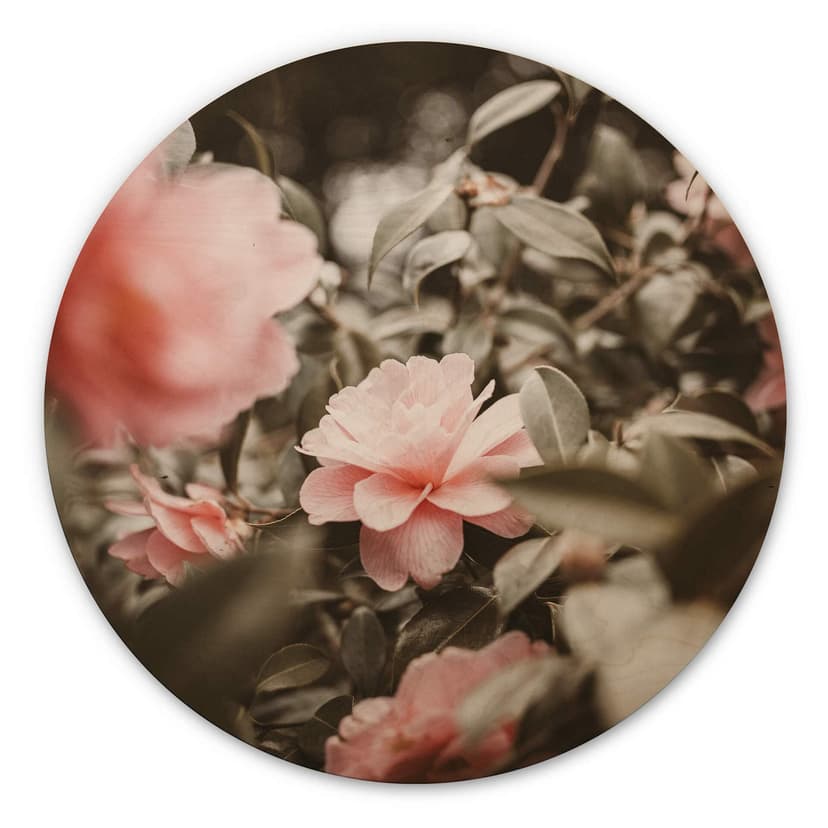 Annie Trätavla - Rosenblomma - Rund