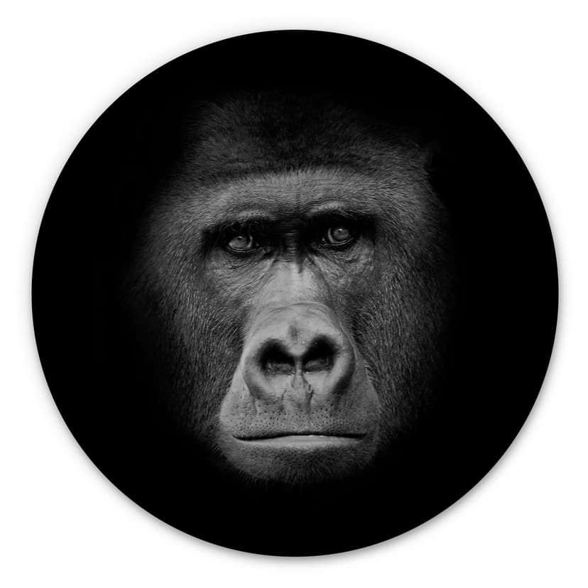 Trätavla Gorilla - rund